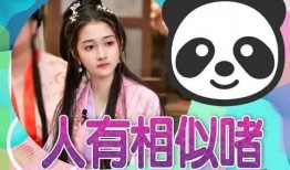 娱乐圈吃瓜爆料在线观看 吃瓜网每日大赛,吃瓜网每日大赛，揭秘明星幕后故事